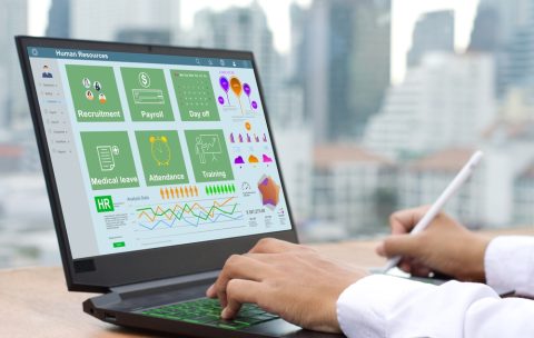 An,Hr,Officer,Uses,Hr,Software,On,A,Laptop,To